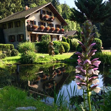 Chambres D'Hotes Des Cascades St-Nicolas Kruth Екстериор снимка