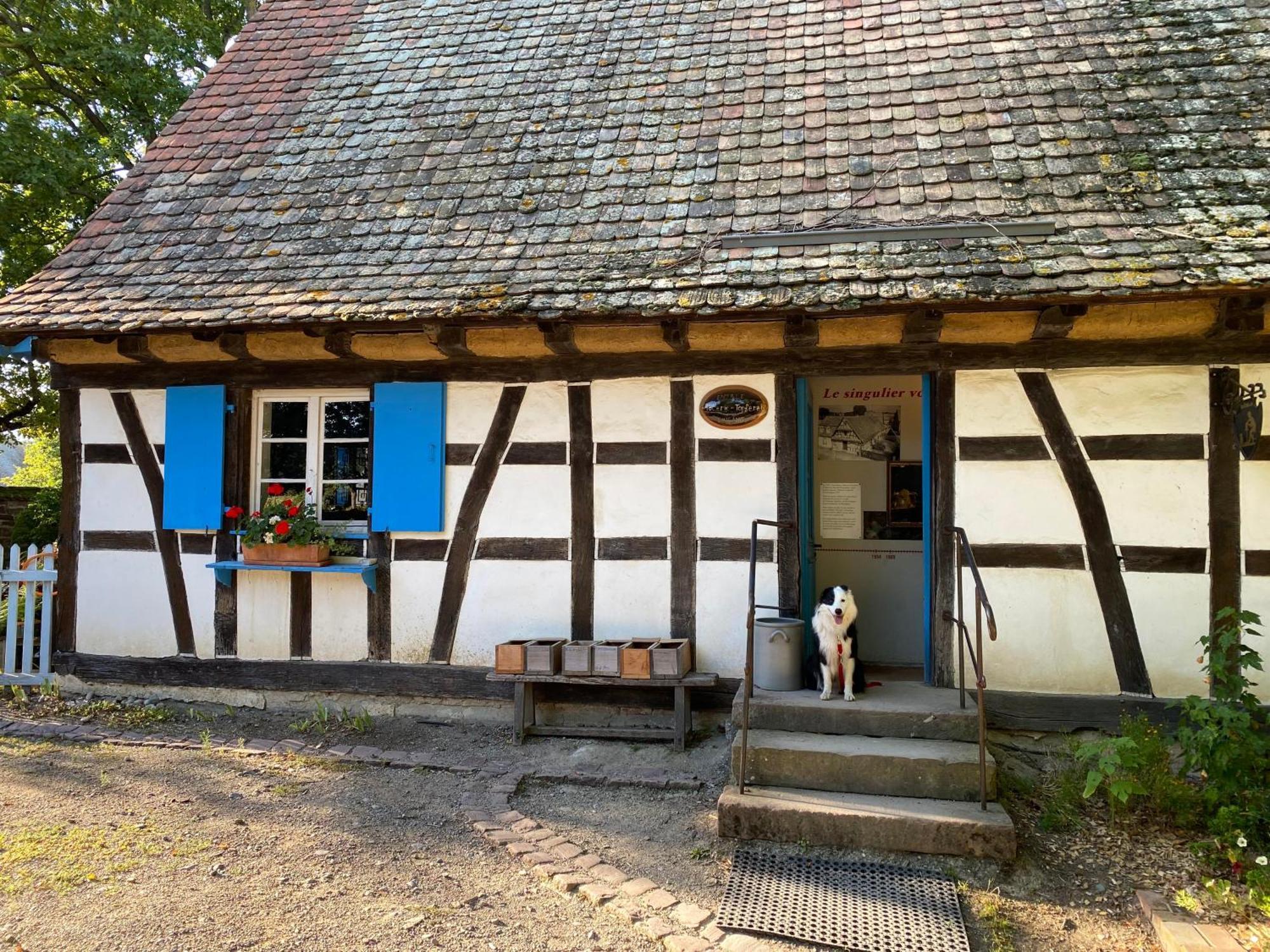 Chambres D'Hotes Des Cascades St-Nicolas Kruth Екстериор снимка