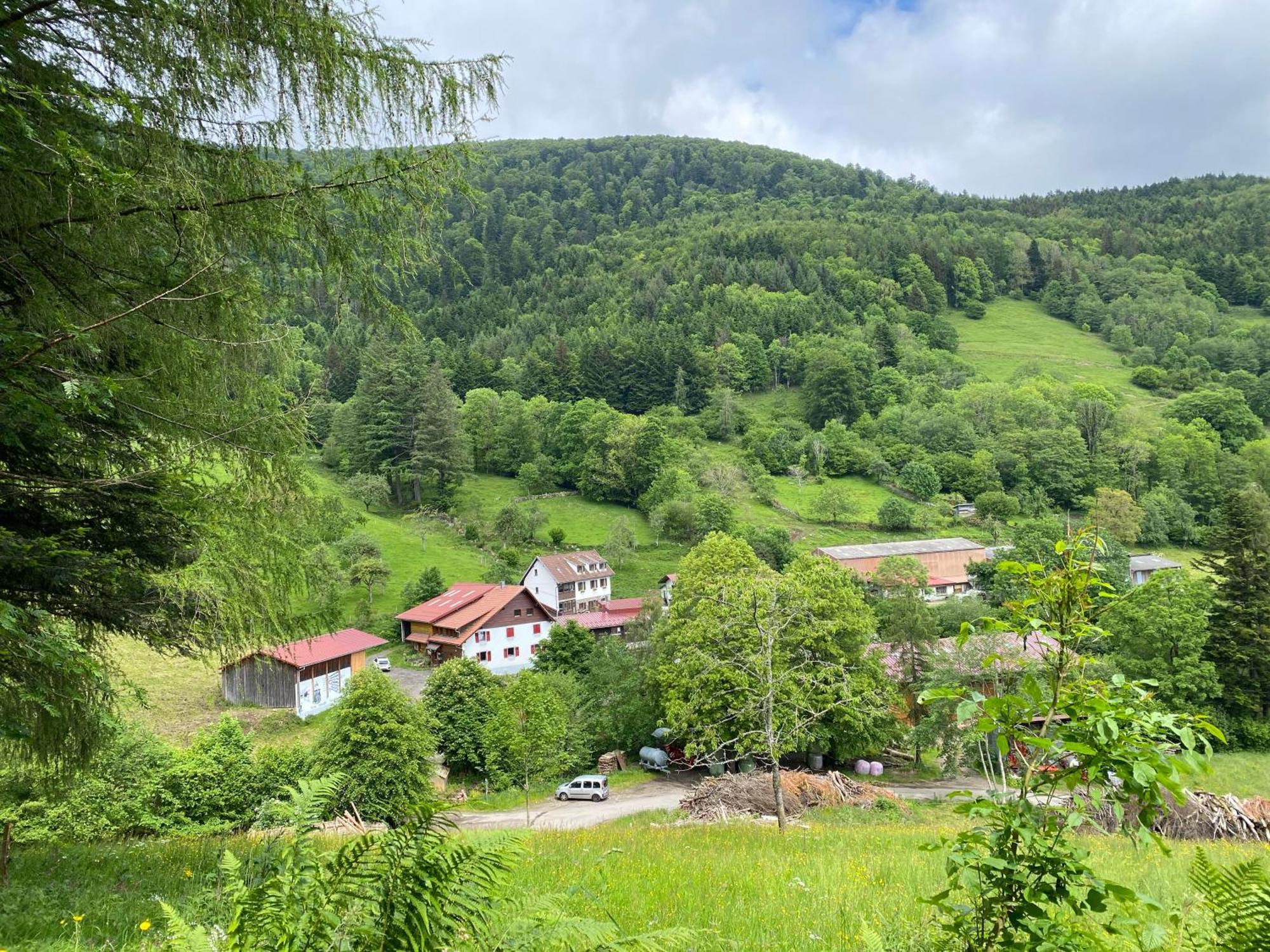 Chambres D'Hotes Des Cascades St-Nicolas Kruth Екстериор снимка