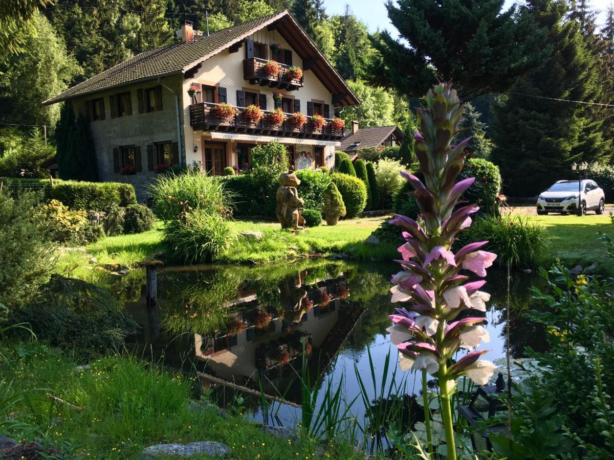 Chambres D'Hotes Des Cascades St-Nicolas Kruth Екстериор снимка